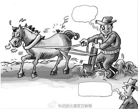 牛蝇效应