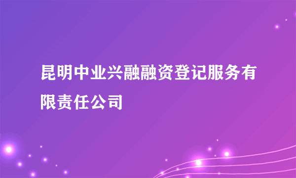 昆明中业兴融融资登记服务有限责任公司