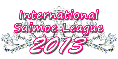 2013年国际最萌大会