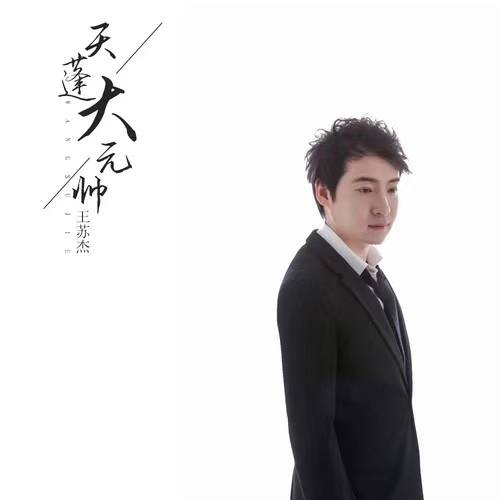 天蓬大元帅