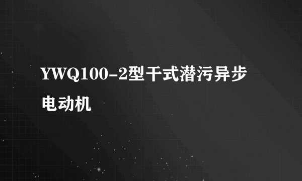 YWQ100-2型干式潜污异步电动机