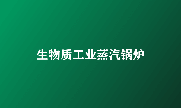 生物质工业蒸汽锅炉