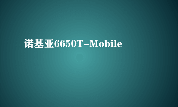 诺基亚6650T-Mobile