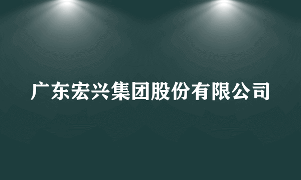 广东宏兴集团股份有限公司