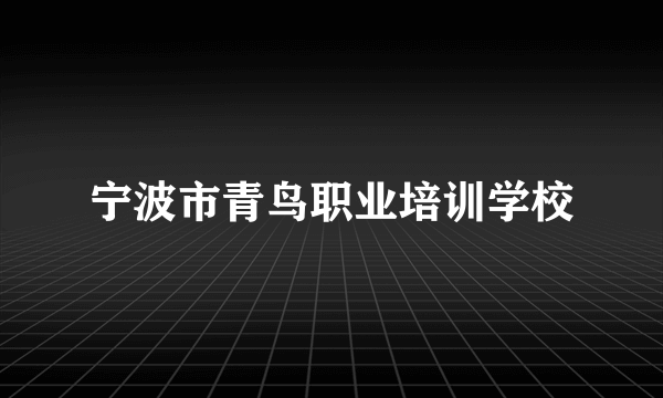 宁波市青鸟职业培训学校
