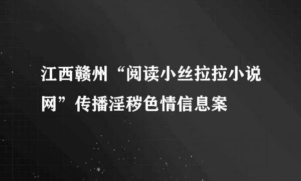江西赣州“阅读小丝拉拉小说网”传播淫秽色情信息案
