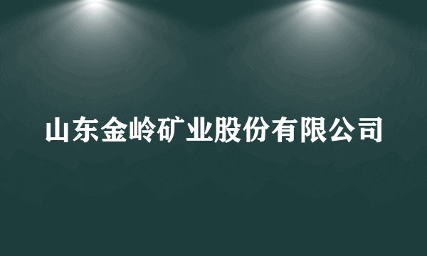 山东金岭矿业股份有限公司