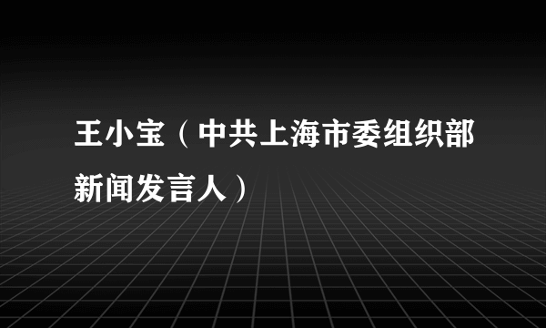 王小宝（中共上海市委组织部新闻发言人）