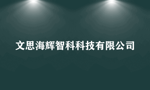 文思海辉智科科技有限公司