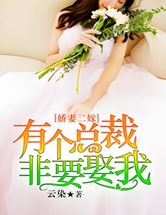 娇妻二嫁：有个总裁非要娶我