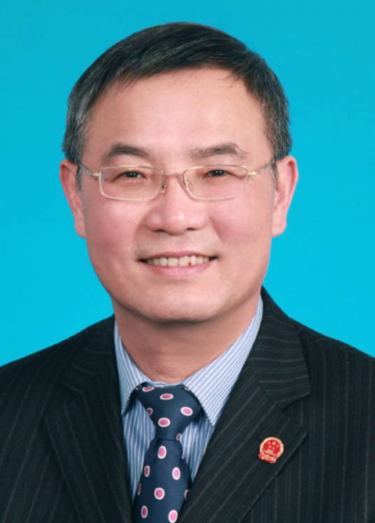 中国民主促进会第十四届中央委员会