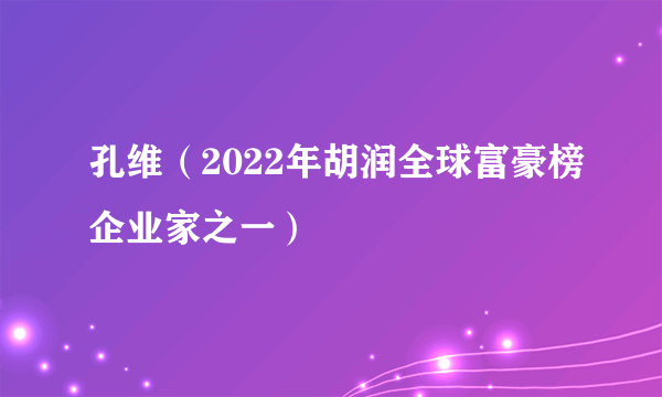 孔维（2022年胡润全球富豪榜企业家之一）