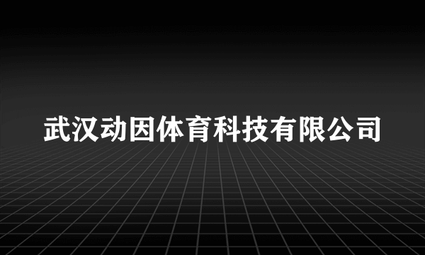 武汉动因体育科技有限公司