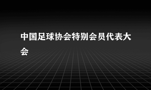 中国足球协会特别会员代表大会