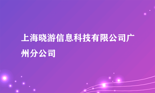 上海晓游信息科技有限公司广州分公司