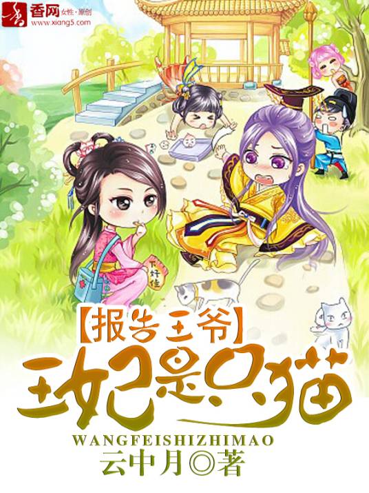 报告王爷，王妃是只猫（云中月创作的架空类网络小说）