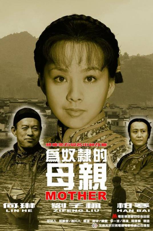 为奴隶的母亲（2003年阎建钢、聂造（聂圣哲）联合执导电影）