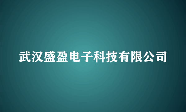武汉盛盈电子科技有限公司