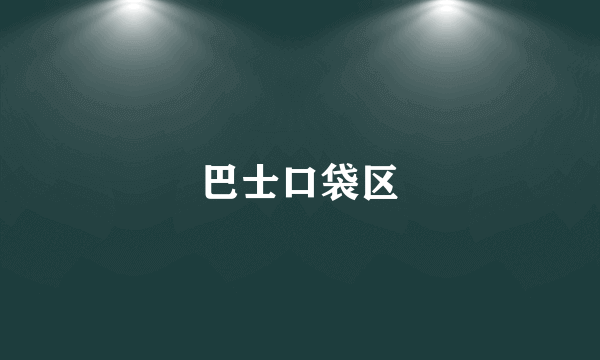 巴士口袋区