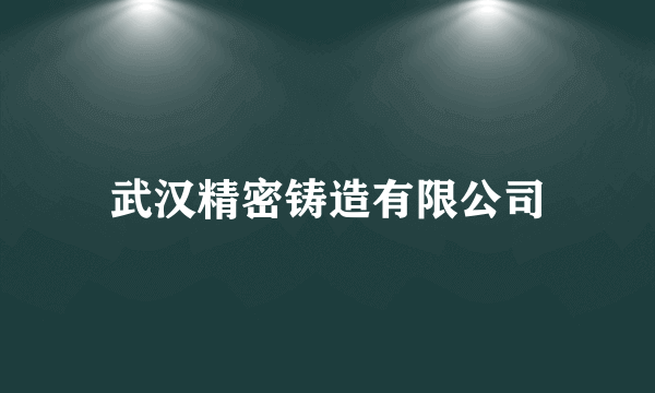 武汉精密铸造有限公司