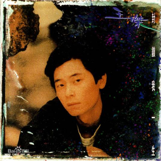 说谎的爱人（王杰作曲并演唱的歌曲）