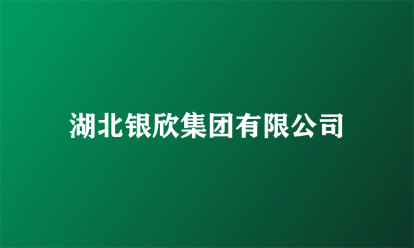 湖北银欣集团有限公司