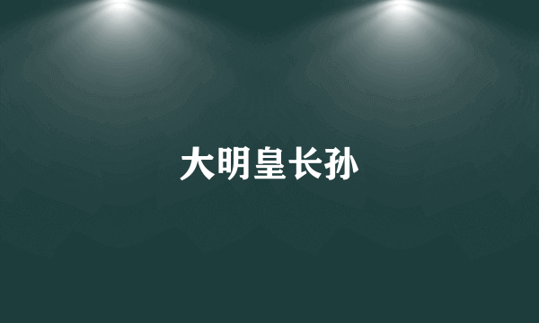 大明皇长孙