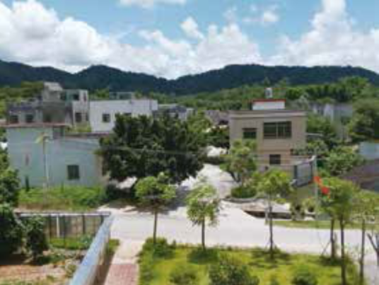 大埔村（广东省惠州市惠东县吉隆镇下辖村）