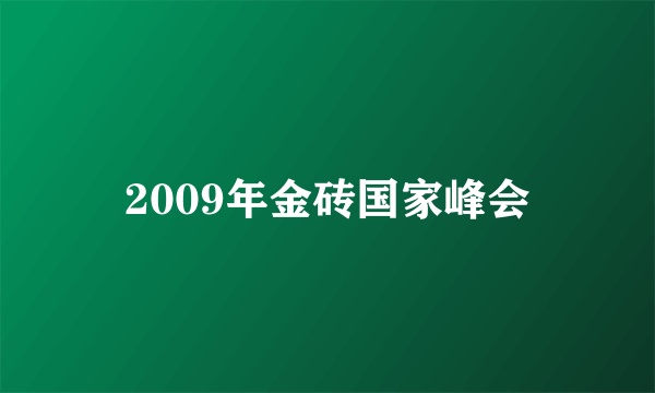 2009年金砖国家峰会
