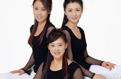在希望的田野上（黑鸭子演唱歌曲）