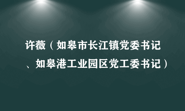 许薇（如皋市长江镇党委书记、如皋港工业园区党工委书记）