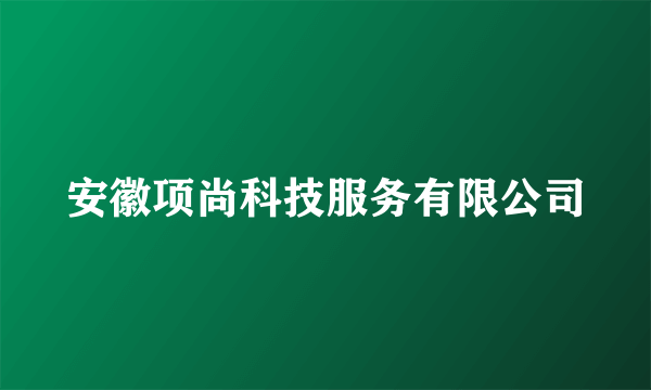 安徽项尚科技服务有限公司