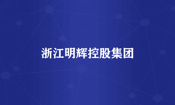 浙江明辉控股集团
