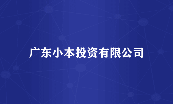广东小本投资有限公司