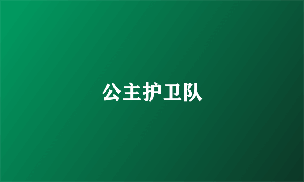 公主护卫队
