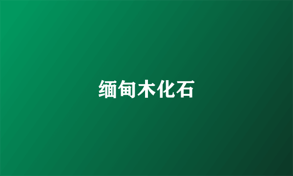 缅甸木化石