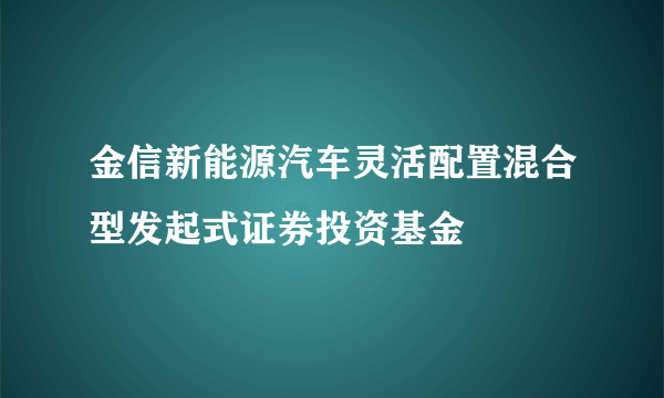 金信新能源汽车灵活配置混合型发起式证券投资基金