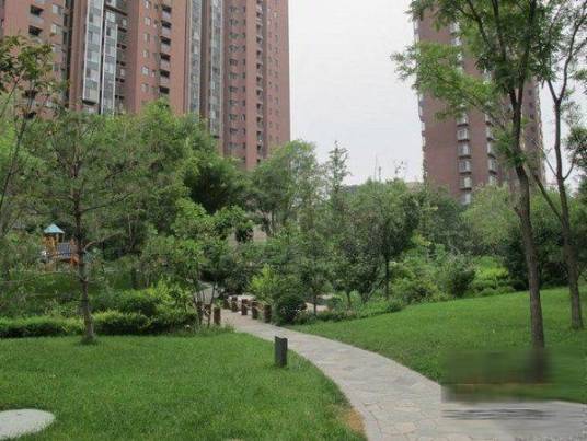融科橄榄城