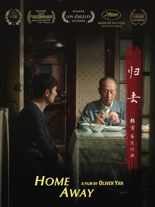 归去（2017年颜雷执导的电影）