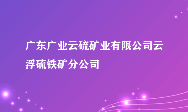 广东广业云硫矿业有限公司云浮硫铁矿分公司