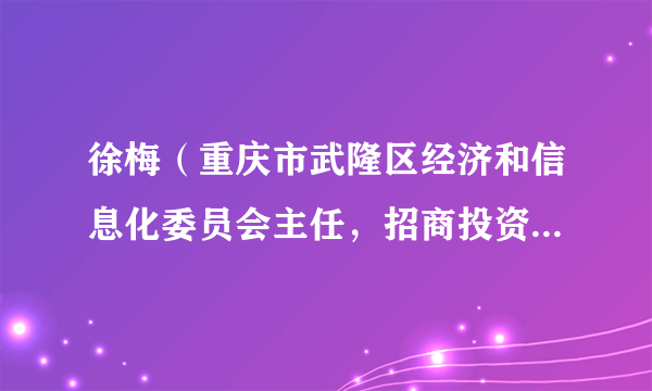徐梅（重庆市武隆区经济和信息化委员会主任，招商投资促进局局长（兼））