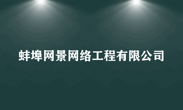 蚌埠网景网络工程有限公司