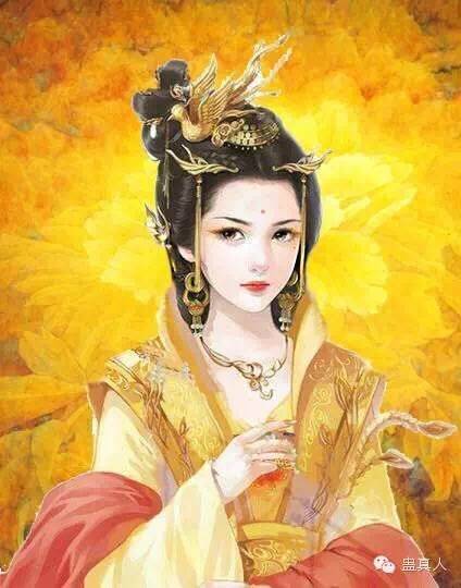 凤金煌