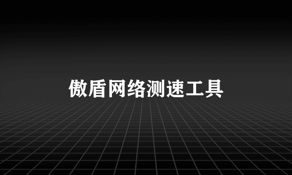 傲盾网络测速工具
