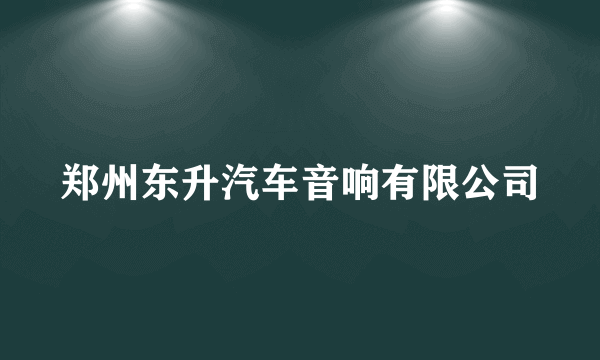 郑州东升汽车音响有限公司