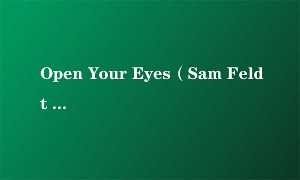 Open Your Eyes（Sam Feldt / Hook N Sling演唱歌曲）