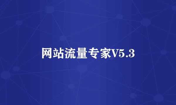 网站流量专家V5.3