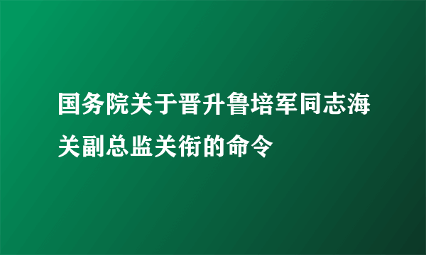 国务院关于晋升鲁培军同志海关副总监关衔的命令
