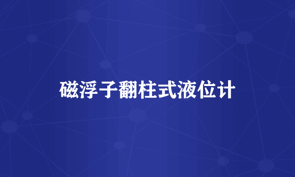 磁浮子翻柱式液位计