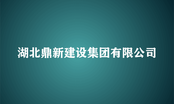 湖北鼎新建设集团有限公司